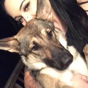 Meet your Posher, Bridge